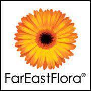 Far East Flora deal